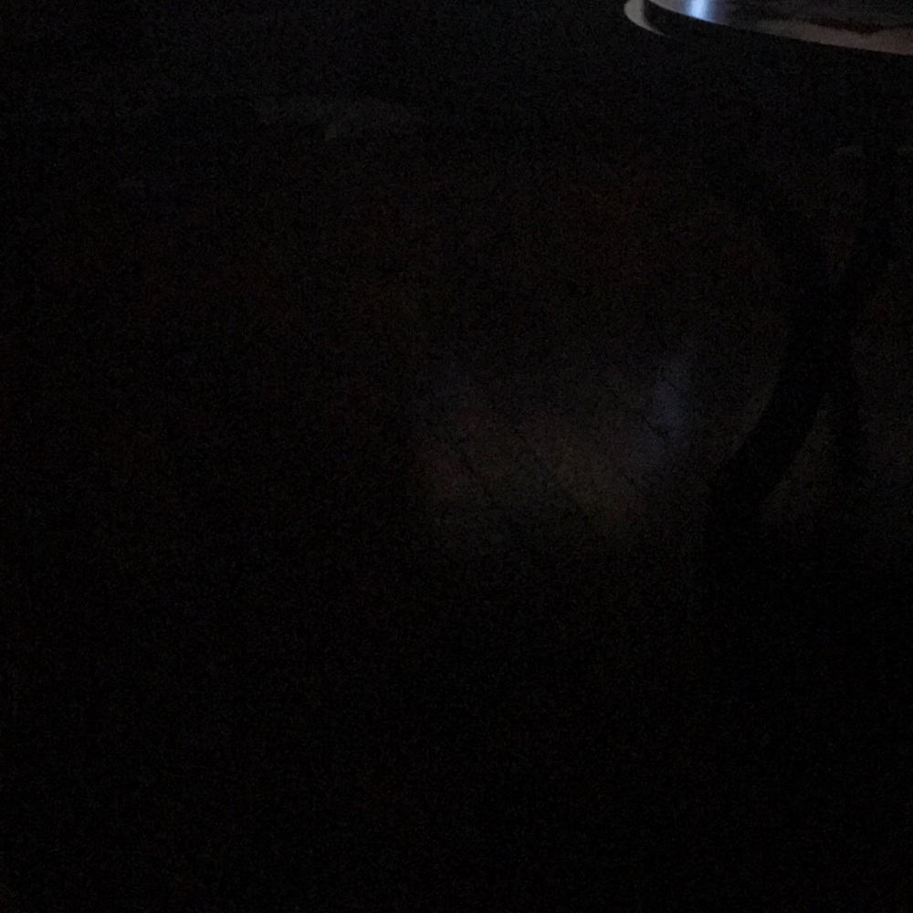 Meet your Posher, Wilson